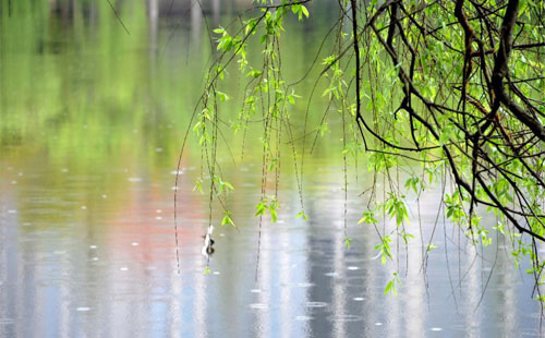 雨中的化學(xué)守護 —— 澳力邁商貿(mào)化工原料與洗滌劑原料的應(yīng)用實踐